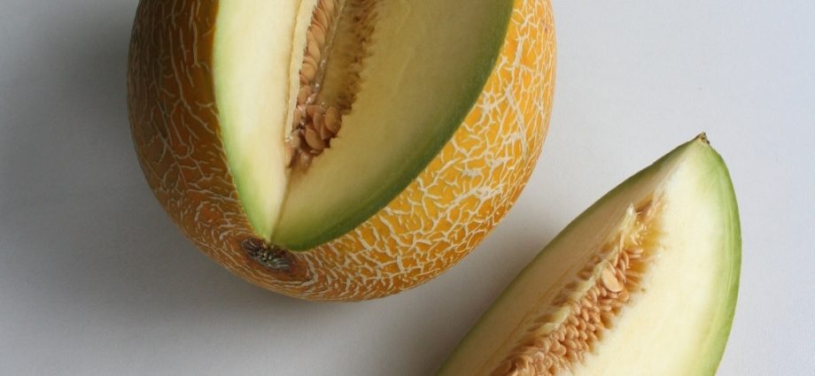 Melon Galia: photo and description