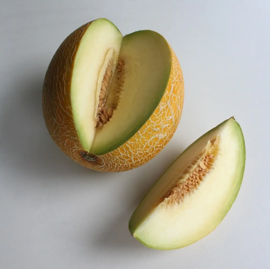 Melon Galia: photo and description