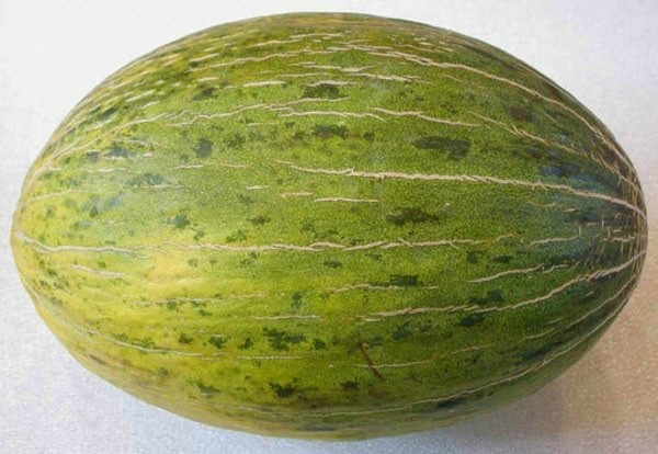 Melon Gulyabi: characteristics of the variety and useful properties