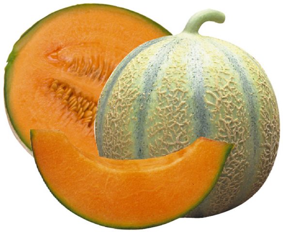 Melon Gulyabi: photo and description