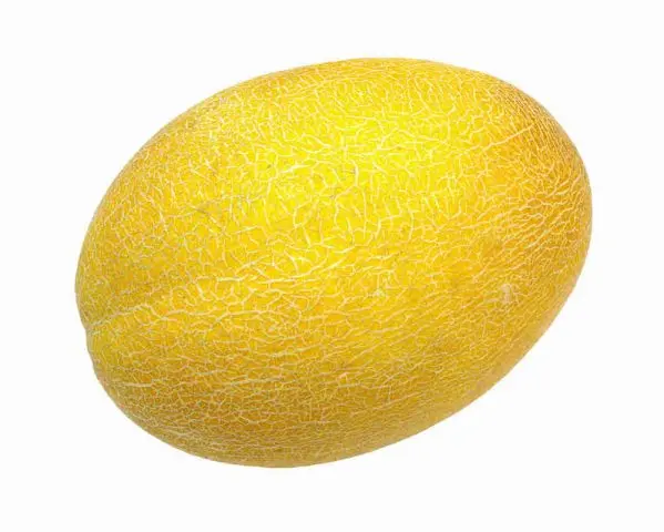 Melon Gulyabi: photo and description