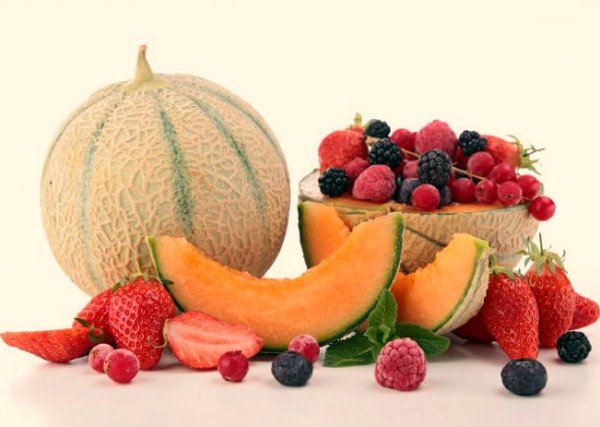 Melon is a berry or fruit, to which family does it belong?