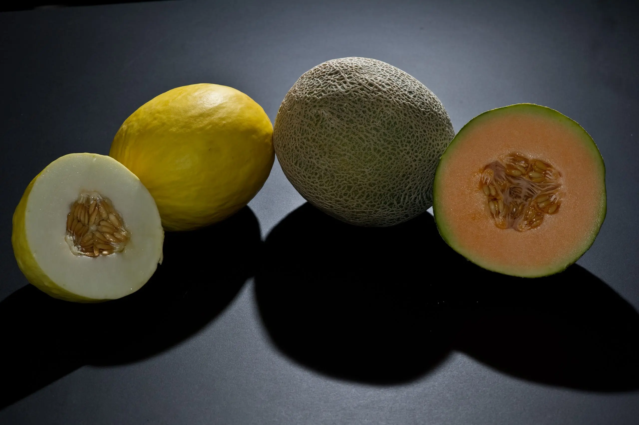 Melon is a berry or fruit, to which family does it belong?