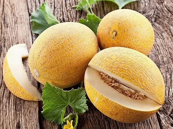 Melon Kolkhoz Woman: photo, description, benefits and harms