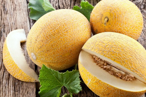 Melon Kolkhoznitsa: variety description and cultivation