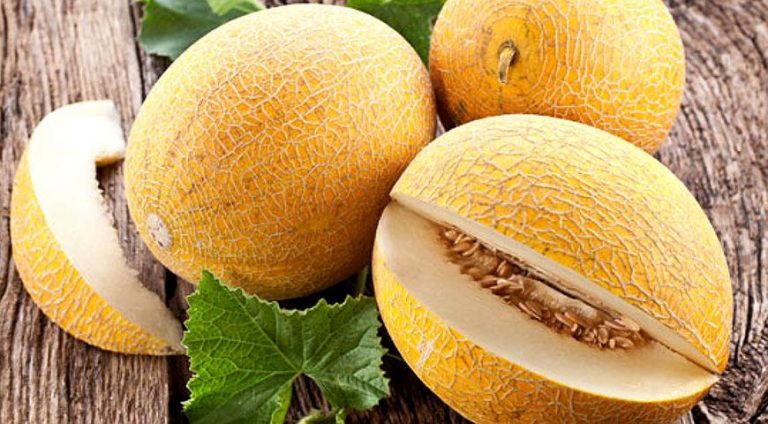 Melon Kolkhoznitsa: variety description and cultivation