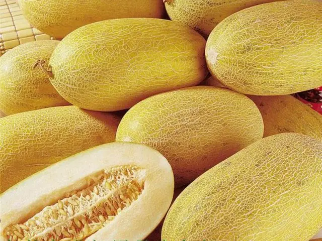 Melon Torpedo: how to choose and how to grow