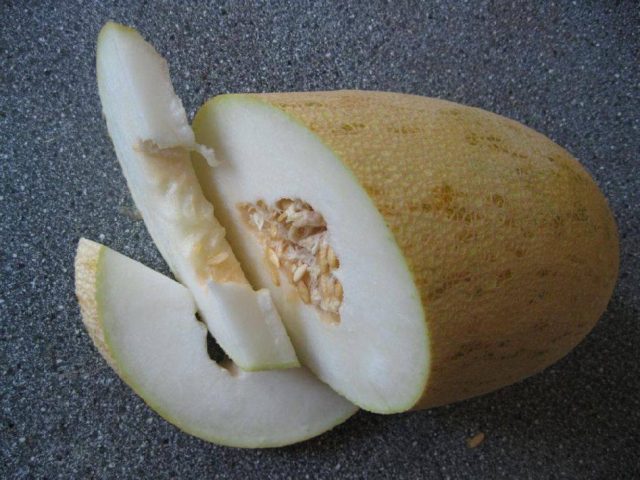 Melon Torpedo: how to choose and how to grow