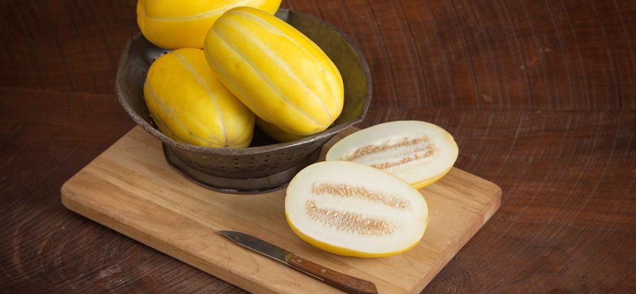 Melon Torpedo: how to choose and how to grow