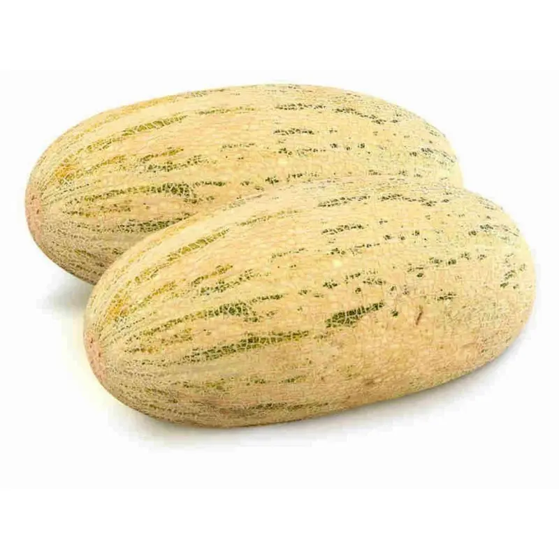 Melon Torpedo (Rainbow): cultivation and characteristics of the variety