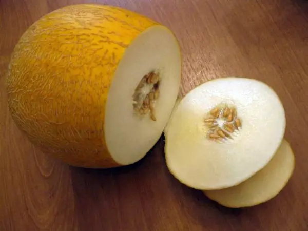 Melon Turkmen: features and advantages of the variety