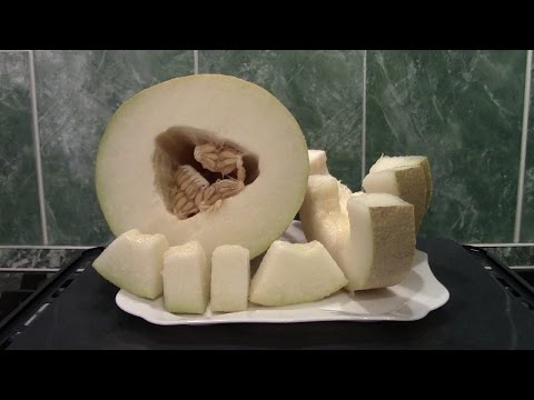 Melon Turkmenka: photo and description