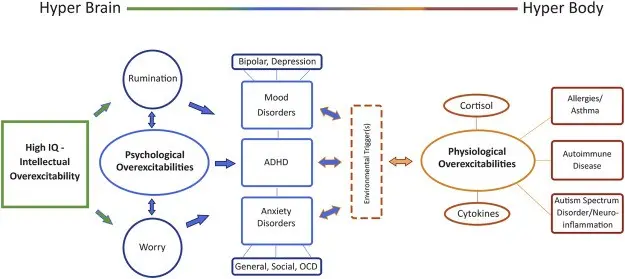 Memory and intellect disorders &#8211; where they come from, diagnosis