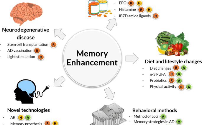 Memory exercises &#8211; causes of memory problems, strategies to facilitate remembering