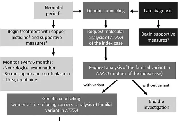 Menkes&#8217; disease &#8211; symptoms, disease course and treatment options