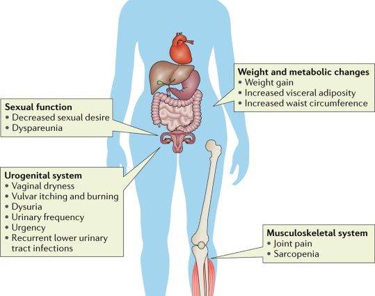 Menopause and related problems