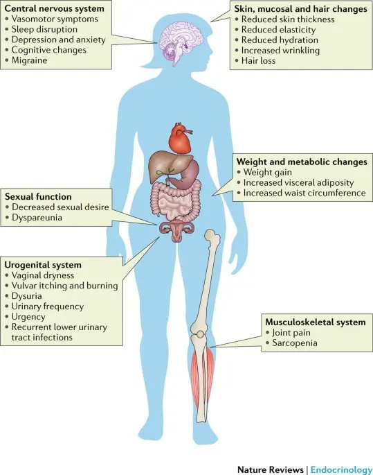 Menopause and related problems