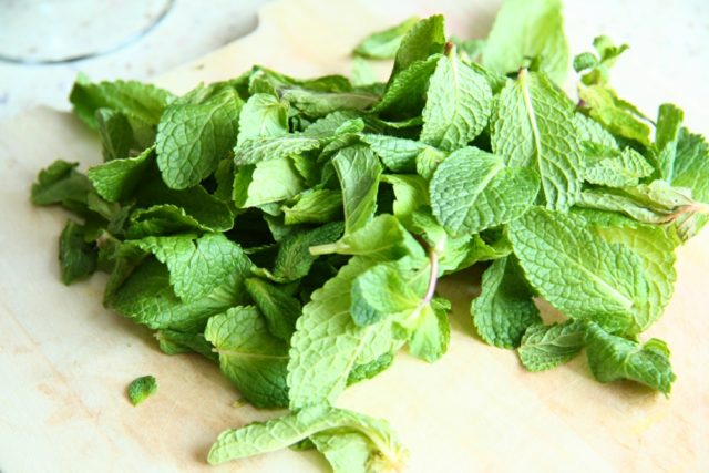 Menthol mint: photo and description, reviews, photos, useful properties, application