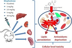 Mephedrone &#8211; side effects, action. What is this?