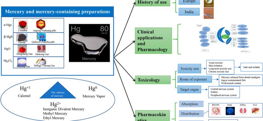 Mercury in the Oder? Doctors: risk of organ damage and even death