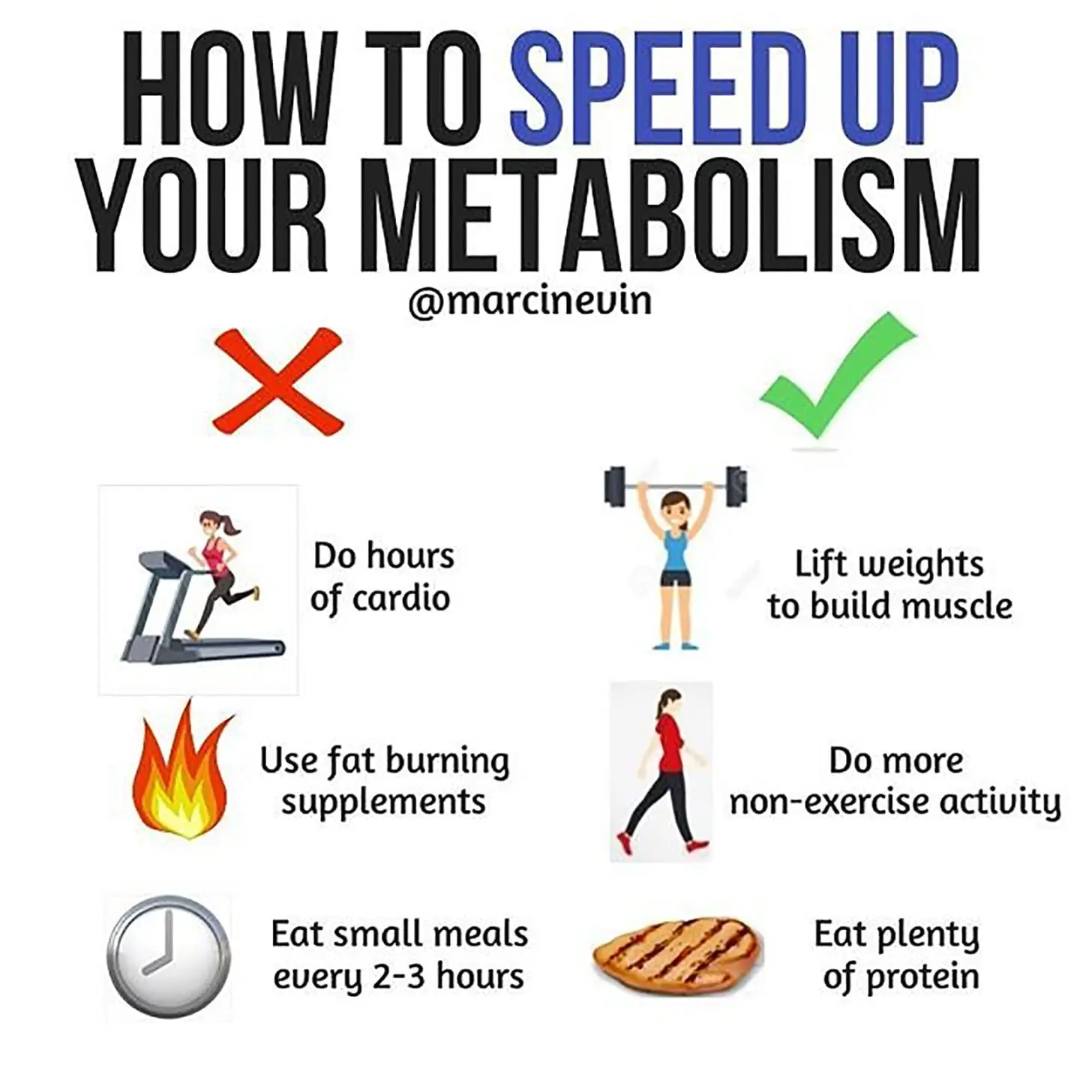 Metabolism &#8211; what is it? How to speed up your metabolism?