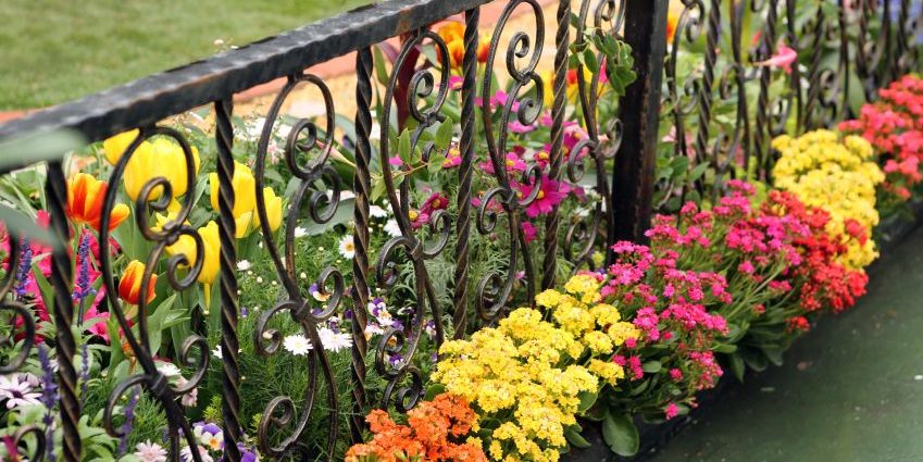 Metal fences for flower beds: examples of metal fences