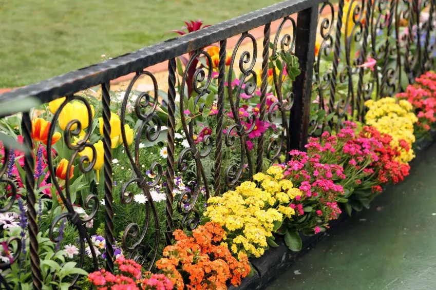 Metal fences for flower beds: examples of metal fences