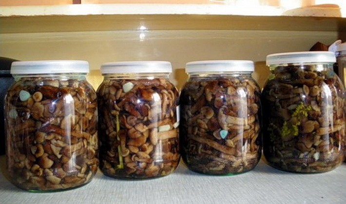 Methods for pickling mushrooms: step by step recipes with photos