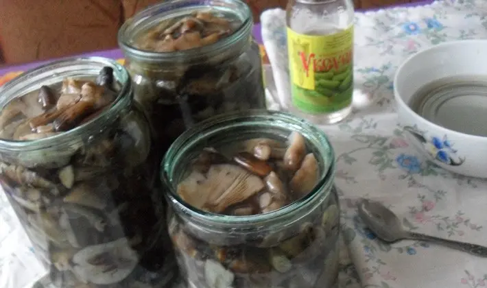 Methods for pickling mushrooms: step by step recipes with photos