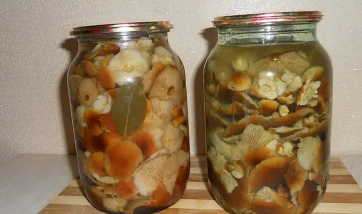 Methods for pickling mushrooms: step by step recipes with photos