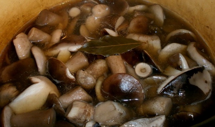 Methods for pickling mushrooms: step by step recipes with photos