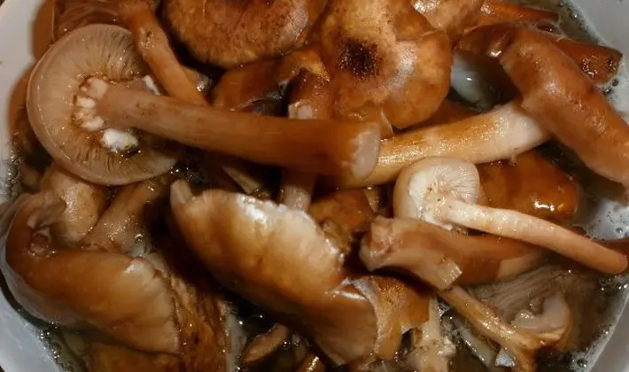 Methods for pickling mushrooms: step by step recipes with photos