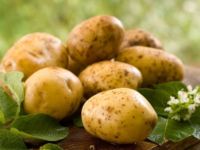 Methods for planting potatoes + video 