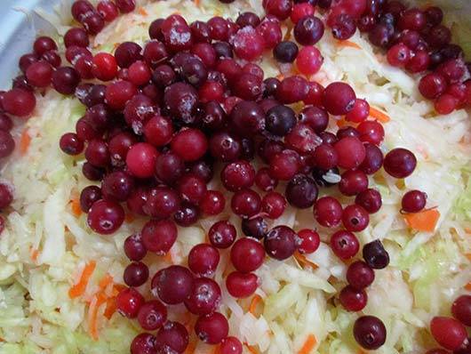 Methods for sourdough cabbage with cranberries