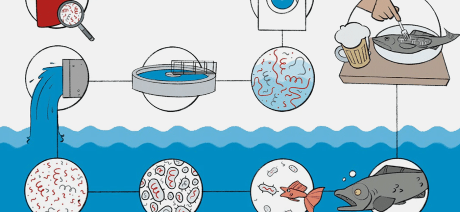 Microplastic contamination is all around us. They can endanger our health