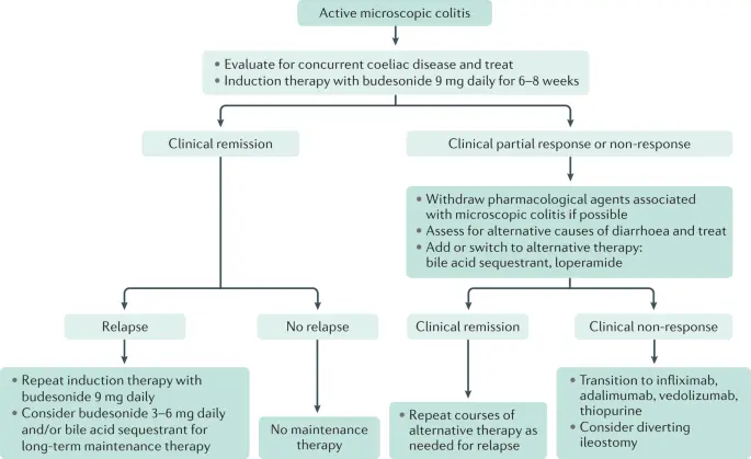 Microscopic Colitis &#8211; Budesonide has disappeared from the reimbursement list