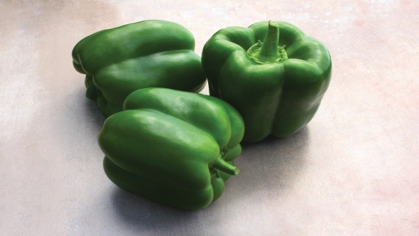 Mid-season varieties of sweet pepper