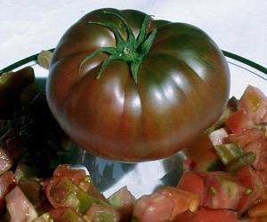 Mikado Tomato: Black, Siberico, Red