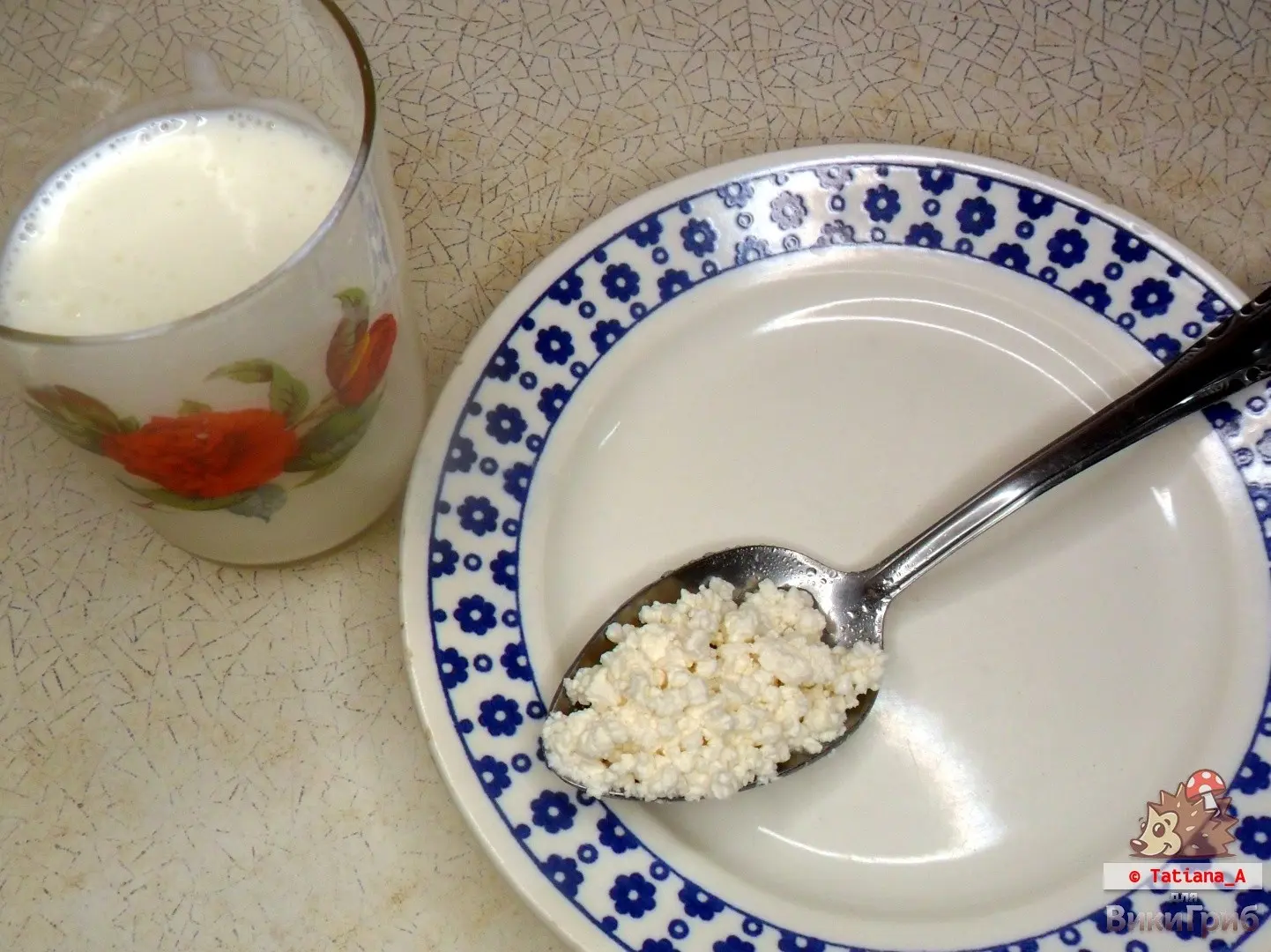 Milk mushroom kefir