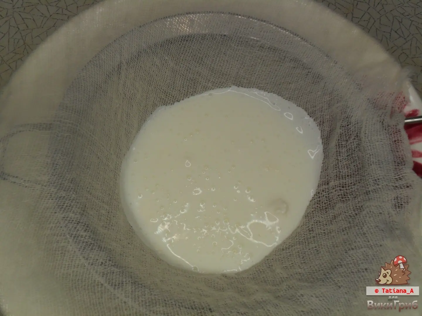 Milk mushroom kefir
