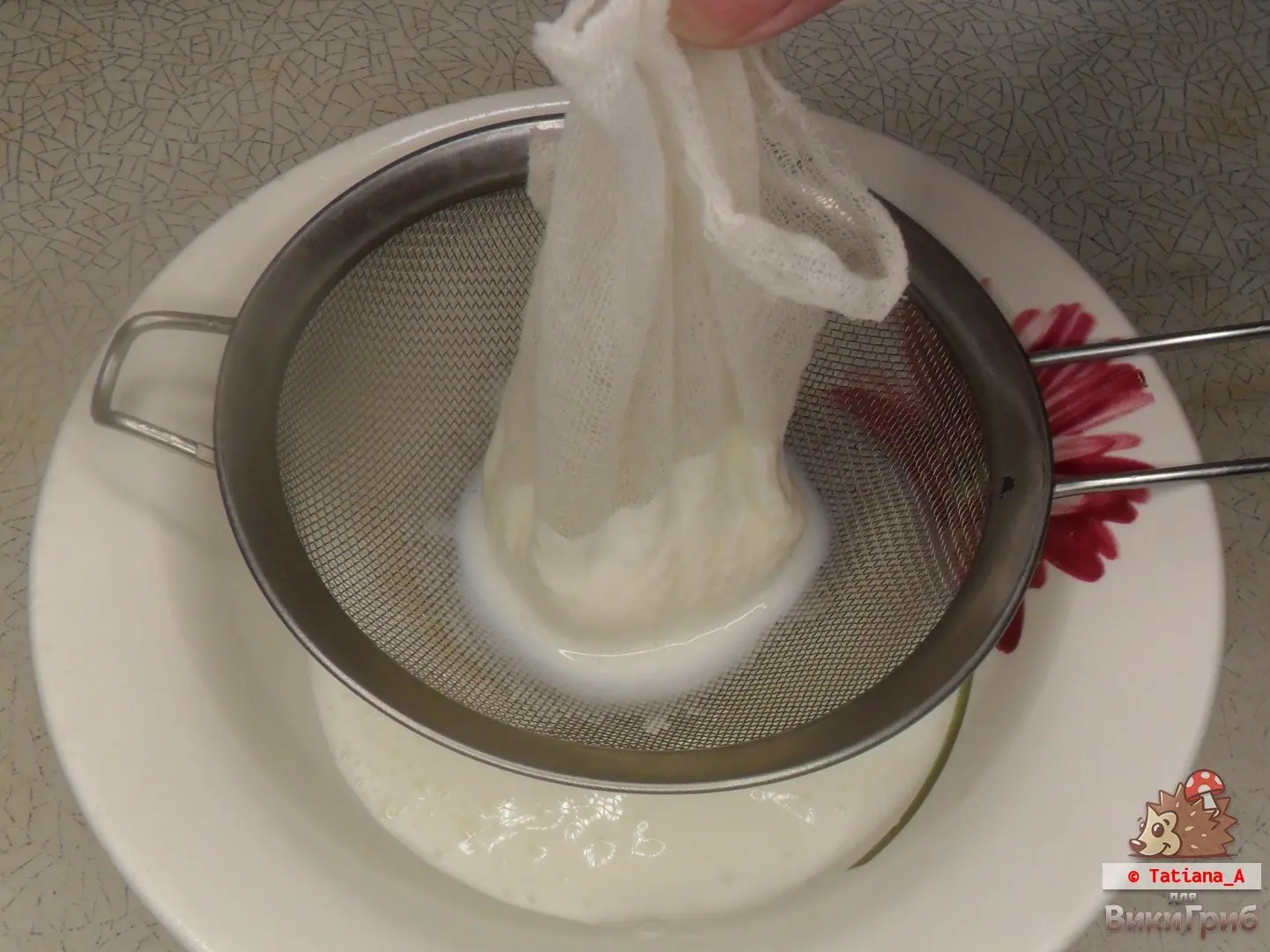 Milk mushroom kefir