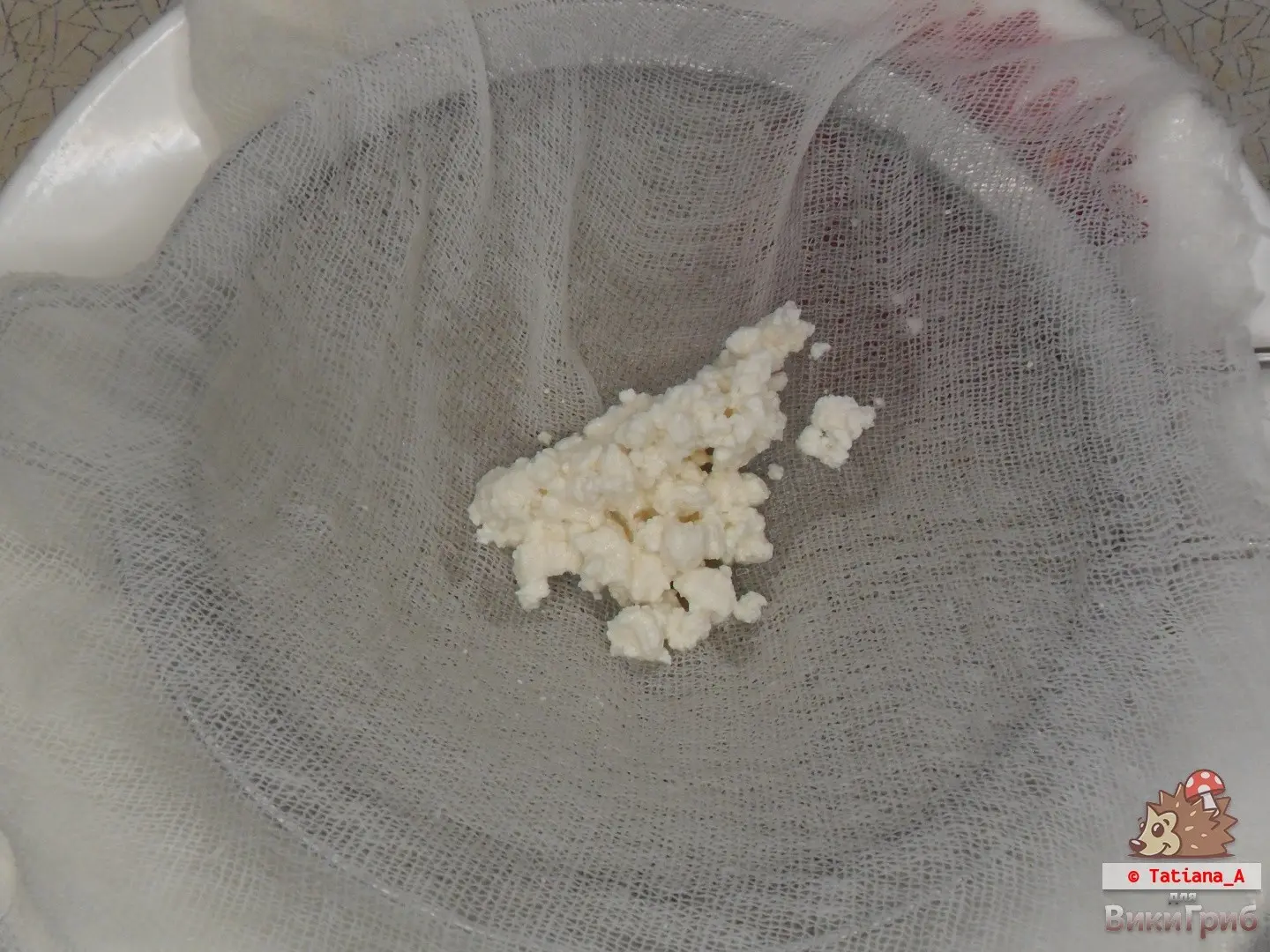 Milk mushroom kefir
