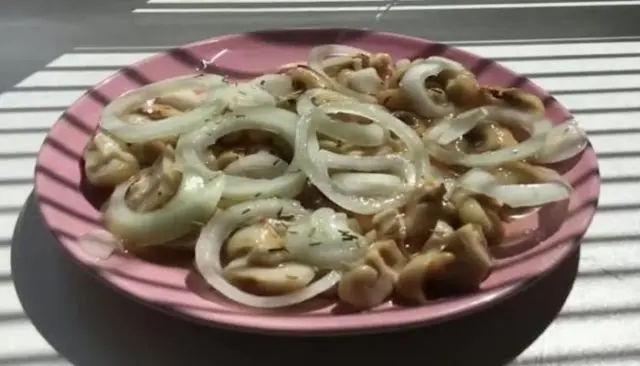 Milk mushrooms for the winter under an iron lid: which ones to use, recipes for the winter