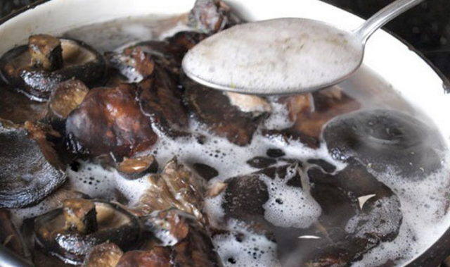 Milk mushrooms turned black: what to do, is it possible to eat them, how to bleach