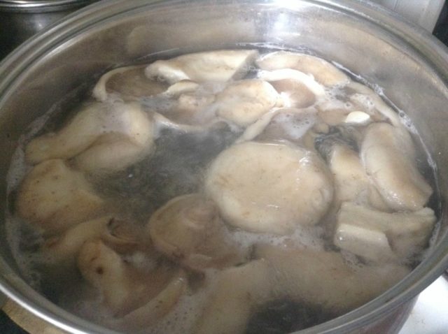 Milk mushrooms turned black: what to do, is it possible to eat them, how to bleach