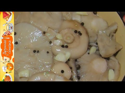 Milk mushrooms under pressure: step by step cooking recipes with photos