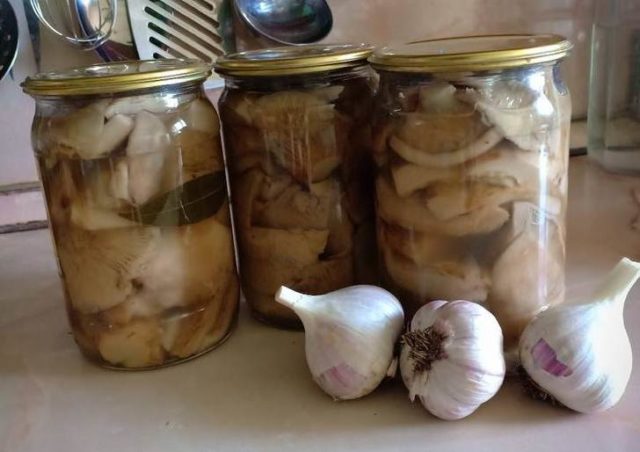 Milk mushrooms without cooking: recipes for salted and pickled mushrooms