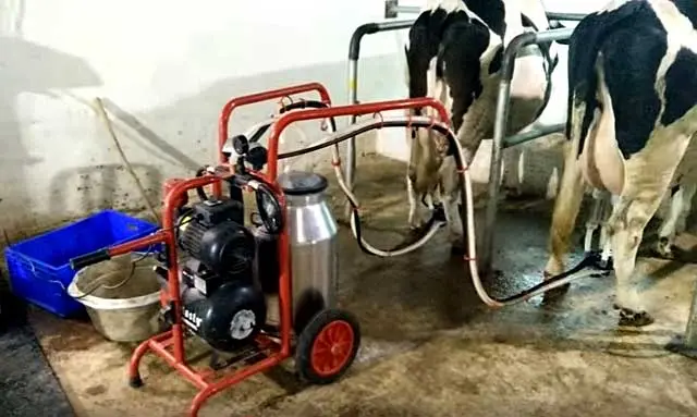 Milking machine: owner reviews