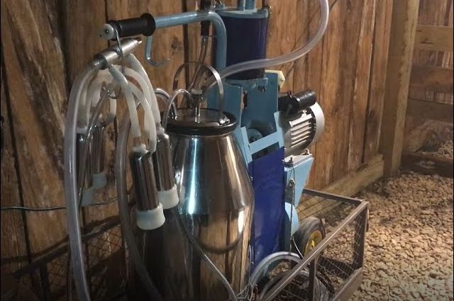 Milking machine: owner reviews