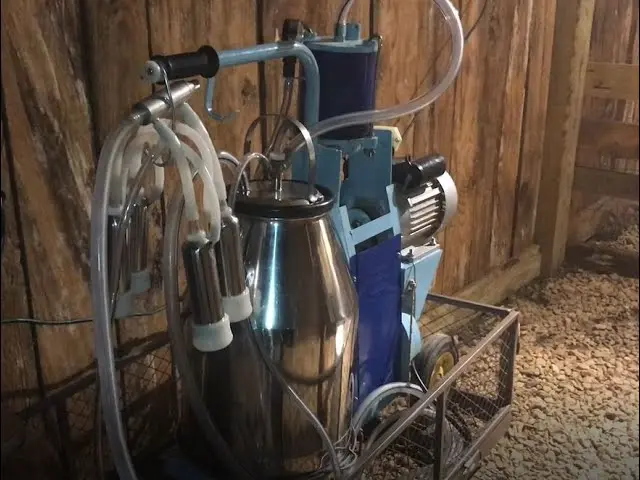 Milking machine: owner reviews